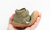 Little Hiker Barefoot Toddler Boots Warm & Flexible Sole