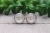 Pumpkin Season || Glass Stud Earrings || Hypoallergenic