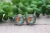 Teal, Orange & Leopard Pumpkin || Glass Stud Earrings || Hypoallergenic