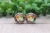 Fall Leaves || Glass Stud Earrings || Hypoallergenic