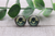 Oogie || Glass Stud Earrings || Hypoallergenic