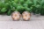 Pumpkins on White || Glass Stud Earrings || Hypoallergenic