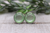 Mint Green Cat's Eye Stud Earrings