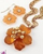 Akila in Gold/Brown