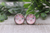 Floral Crown Pig || 12mm Stud Earrings