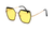 3564 Sunglasses