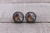 Pocahontas & Racoon  Glass Stud Earrings