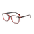 Bright Colored Frame Reading Glasses/Readers