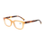 Dual Color Simple Style Frame Reading Glasses/Reader