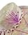 Elegant Leaf Fedora Hat