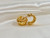 Dakota Earrings