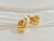Dakota Earrings