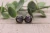 Faux Abalone  Stud Earrings **MINI**