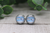 Swim Mom  Glass Stud Earrings