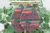Leopard Cactus on Serape Teardrop Faux Leather Earrings | Hypoallergenic