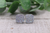 Glitz Clear  Square Druzy Stud Earrings