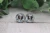 Blame It On My Roots  Glass Stud Earrings