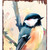 36" Pink White Black And Red Solid Wood Watercolor Floral Chickadee Porch Sign