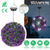 Solar Powered Topiary Ball