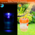 2Pcs Solar Powered Outdoor Wasp 
