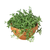 Terra Cotta Ridged Bowl 