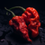 Carolina Reaper
