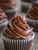 Chocolate Frosting Mix