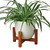 Ceramic Contour Pot with Wood Stand