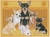 Chihuahuas - Best of Breed Dog Breed Fleece Blanket
