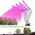 Grow Lights for Indoor Plants