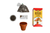 Bonsai Tree Garden DIY grow kit with Japanese Maple Tree Seeds