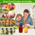 Jar Vacuum Sealer Kit 