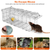Foldable Rat Trap Cage 