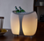 Frio LED Speaker Cooler