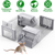 Automatic Continuous Rat Trap 
