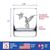 Hummingbird Whiskey Rocks Glass - Bird Nature Gifts
