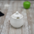 SUGAR BOWL 11 FL OZ | 340 ML IN COLOUR BOX