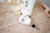 No Vino Phobia (Novinophobia) - Bottle Stopper / Cork
