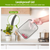 5Pcs Fruit Vegetable Containers 