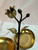 Bowls Condiment Server