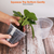 9Pcs Orchid Pots Clear Reusable Plastic Flower