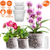 9Pcs Orchid Pots Clear Reusable Plastic Flower