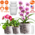 9Pcs Orchid Pots Clear Reusable Plastic Flower