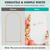 Arch Backdrop Stand 