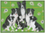 Border Collie - Best of Breed Dog Breed Fleece Blanket