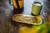 Organic Yerba Mate