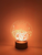 Nevermore Poe Lamp | Raven LED Light | Poetry & Book Gifts