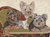 Yorkies - Best of Breed Dog Breed Fleece Blanket