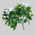 Bougainvillea Flower Stem 12"