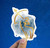 Watercolor Sagittarius Vinyl Sticker
